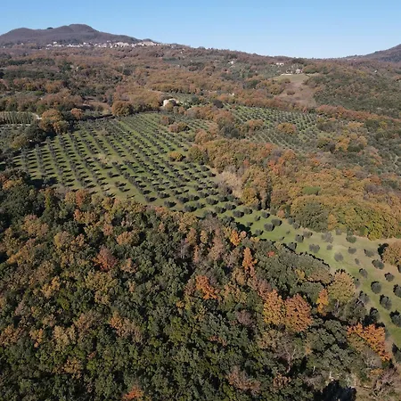 Agroturismo Campo Al Crognolo Sassofortino