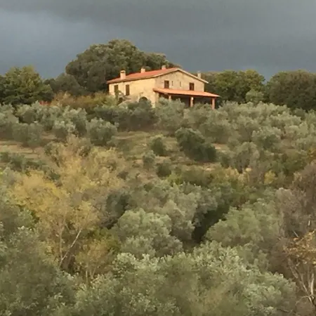 Campo Al Crognolo Sassofortino
