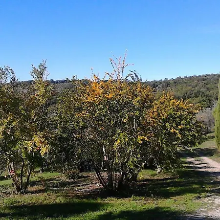 Campo Al Crognolo * Sassofortino