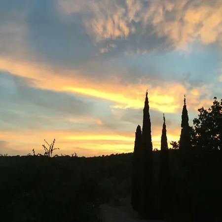 Agroturismo Campo Al Crognolo Sassofortino