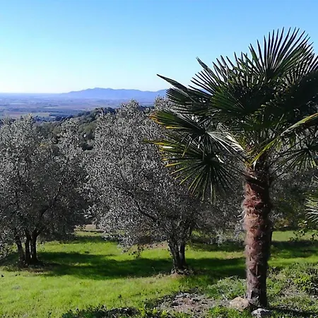Agroturismo Campo Al Crognolo *